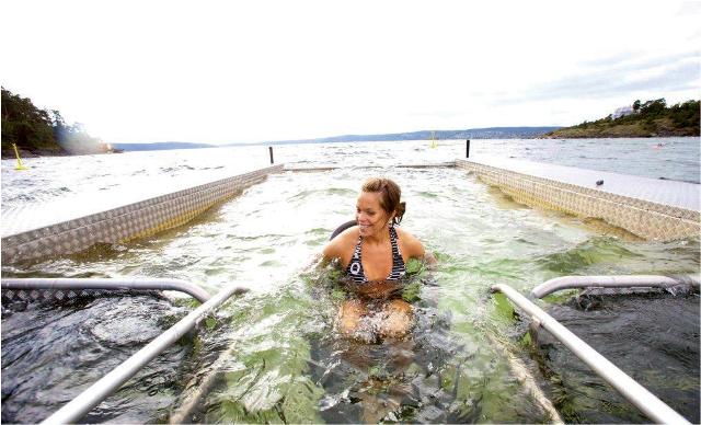 fauteuil acces piscine handicap